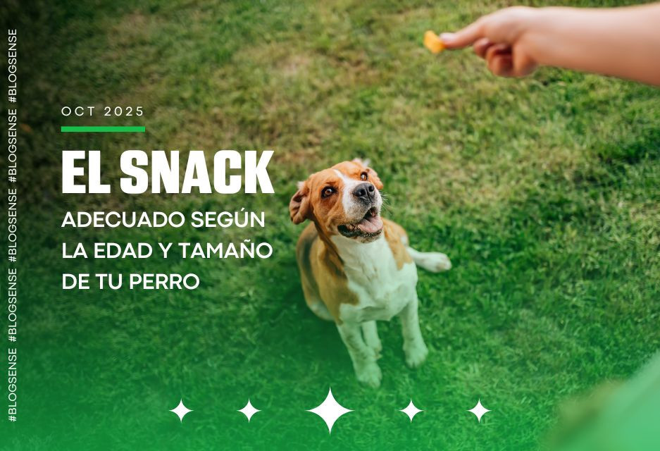 El snack adecuado según la edad y tamaño de tu perro